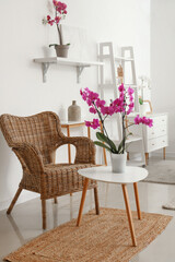 Interior of light living room with armchair and orchid flower on table