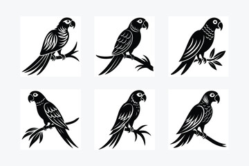 parrot perched Silhouette vector illustration