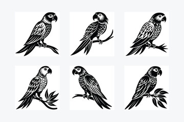 parrot perched Silhouette vector illustration