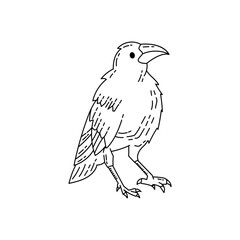 Obraz premium crow illustration in outline style isolated on white background