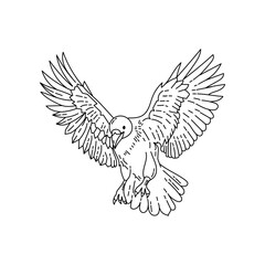 Fototapeta premium crow illustration in outline style isolated on white background