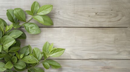 A leafy green plant is placed on a wooden surface