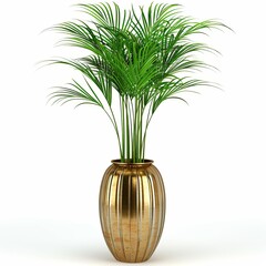 plant pot photography on white background