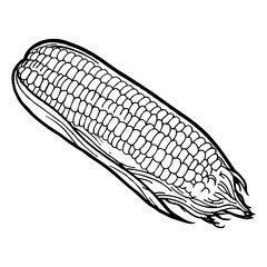 corn outline vector illustration