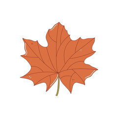 Red maple tree leaf. Autumn fallen leaf, Colorful autumn concept. Fall foliage decoration, Seasonal holiday thanksgiving greeting card. Trendy flat vector isolated illustration.
