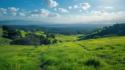 Fototapeta premium Lush green hills stretch out towards a distant valley, under a sky filled with fluffy white clouds.