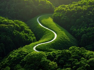 A winding road through a lush green forest, bathed in sunlight. The road leads to an unknown destination, symbolizing the journey of life.
