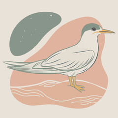 Wild Common Tern in her habitat vector illustration