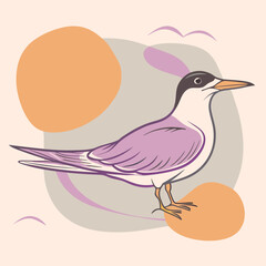 Wild Common Tern in her habitat vector illustration