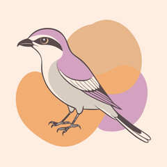 Wild Cyanistes caeruleus close up in her habitat vector illustration