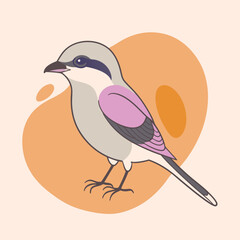 Wild Cyanistes caeruleus close up in her habitat vector illustration