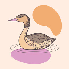 Wild Smew in her habitat vector illustration