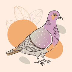 Wild Wood pigeon close up in her habitat vector illustration