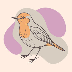 Wild Willow Warbler in her habitat vector illustration