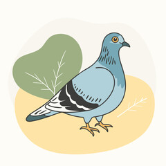 Wild Wood pigeon close up in her habitat vector illustration