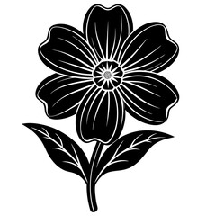 Nemophila flower vector silhouette illustration