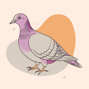 pink pigeon standing on abstract background clip art preview