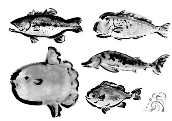 いろいろな手書きの魚の集合　和風筆書きの魚セット