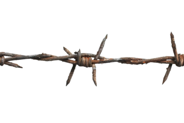 Close-up of rusty barbed wire against a white background, symbolizing restriction, security, and the passage of time, ideal for themes related to boundaries and protection.