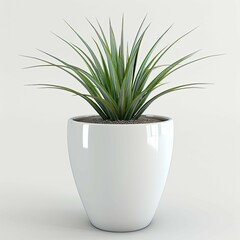 very tall plant pot photography on white background