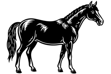 Horse silhouette  vector illustration 