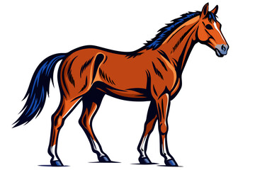 Horse  vector illustration  on white background 