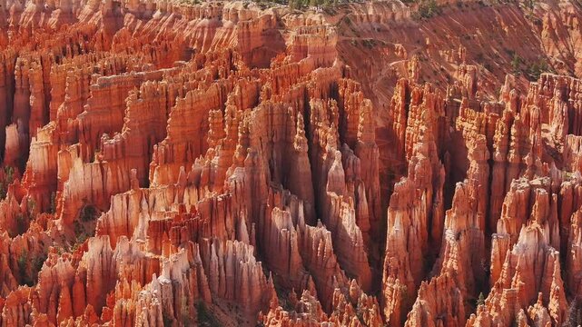 Densely packed orange hoodoos and intricate spires in Bryce Canyon National Park, Utah.