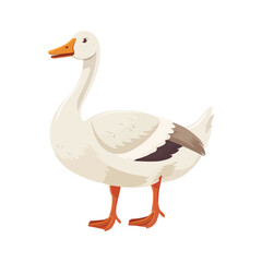 Obraz premium Cartoon cute goose isolated on white solid background