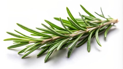 Fototapeta premium A delicate, isolated sprig of fragrant rosemary herb with fresh green needles against a crisp, clean, and minimalist white backdrop.