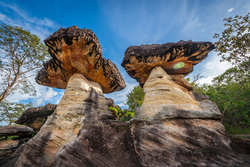 Sao Chaliang or sandstone pillar is a unique mushroom-shaped formation located in Pha Taem National...