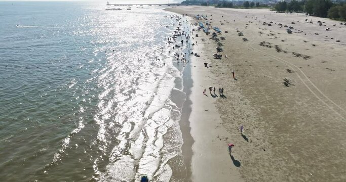 crowd of people on the beach