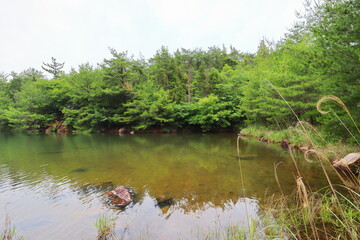 山の中にある大きな池