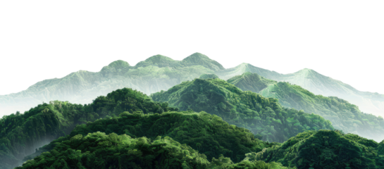 View of mountains covered with tropical forest isolated on transparent background