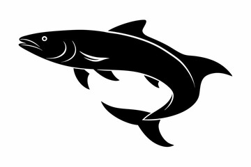 Salmon vector illustration, fish isolated on white, Salmon silhouette, Salmon vector art