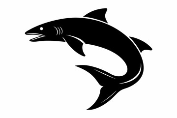 Salmon vector illustration, fish isolated on white, Salmon silhouette, Salmon vector art