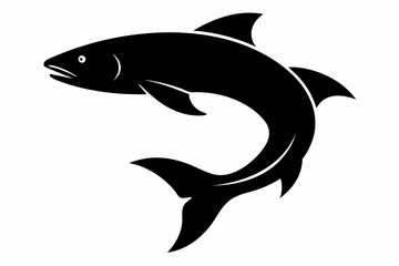 Salmon vector illustration, fish isolated on white, Salmon silhouette, Salmon vector art