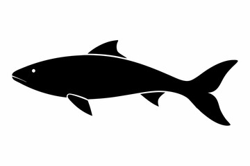 Salmon vector illustration, fish isolated on white, Salmon silhouette, Salmon vector art