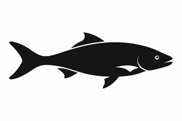 Salmon vector illustration, fish isolated on white, Salmon silhouette, Salmon vector art