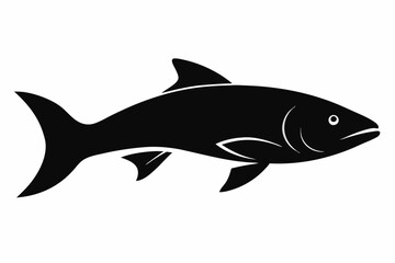 Salmon vector illustration, fish isolated on white, Salmon silhouette, Salmon vector art