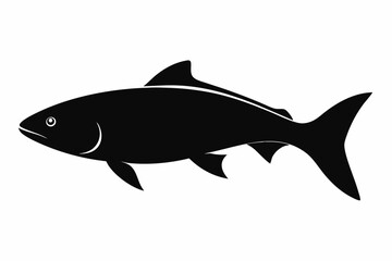 Salmon vector illustration, fish isolated on white, Salmon silhouette, Salmon vector art