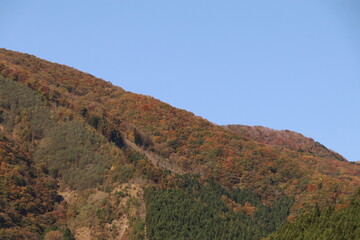 色づき始めた10月の奥多摩湖。
