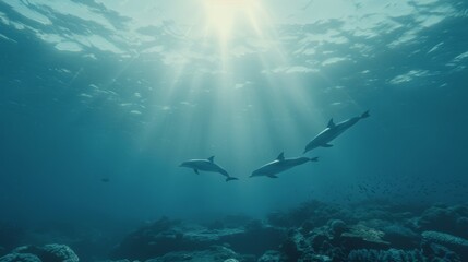 Fototapeta premium A magical underwater coral reef teeming with vibrant marine life where a group of dolphins playfully swim around a mysterious sunken ship the sunlight filtering through the crystalclear water above