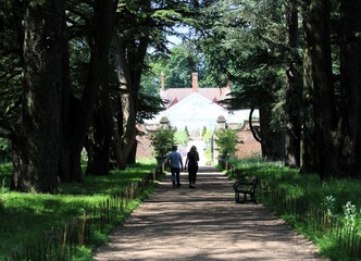 silhouettes of people in the alley of old trees, the path leading to the house