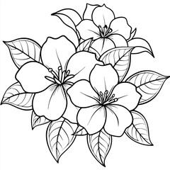 Obraz premium Coloring sheets of Allamanda cathartic flowers