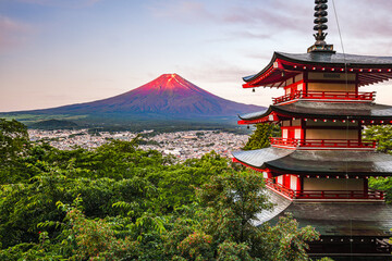 Fototapeta premium 新倉山浅間公園から富士山と五重塔
