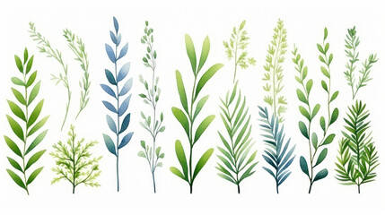 Obraz premium Vibrant botanical green banner featuring delicate watercolor flowers on a clean white backdrop.