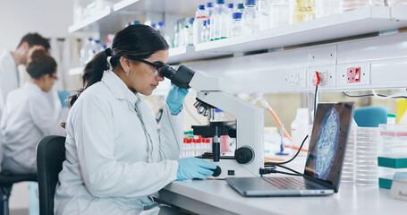 Laptop, research and woman with microscope, science and check experiment for sample, biotech and...
