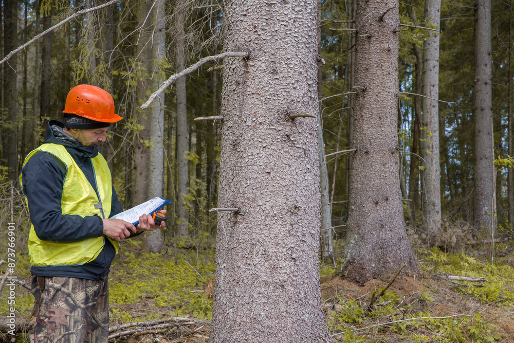 Wall mural Ecologist works in the forest. Engineer, male, working.