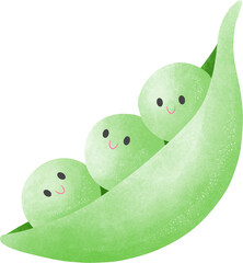 Edamame Adorable Cartoon Vegetable Character