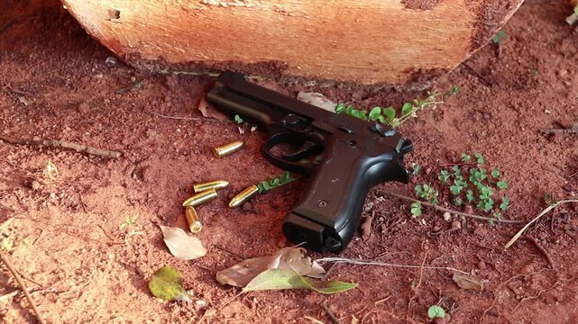 A black hand gun firearm is placed  on a sandy floor next to live ammunition surrounded by plants